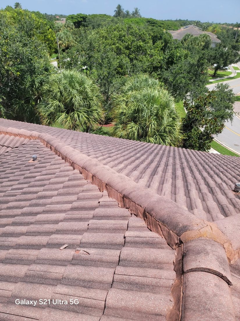Dirty tile roof before cleaning