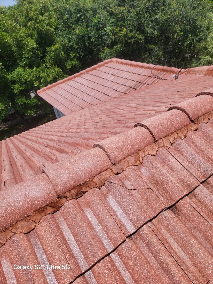 Tile roof after soft-washing