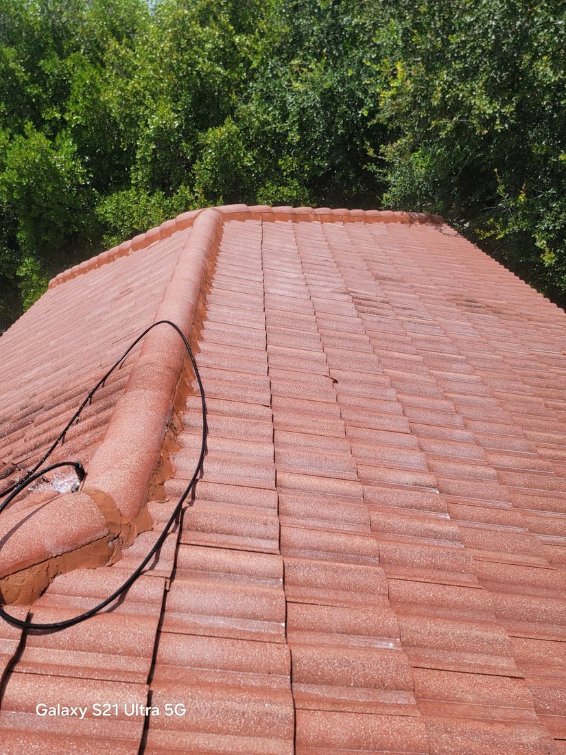 Clean tile roof